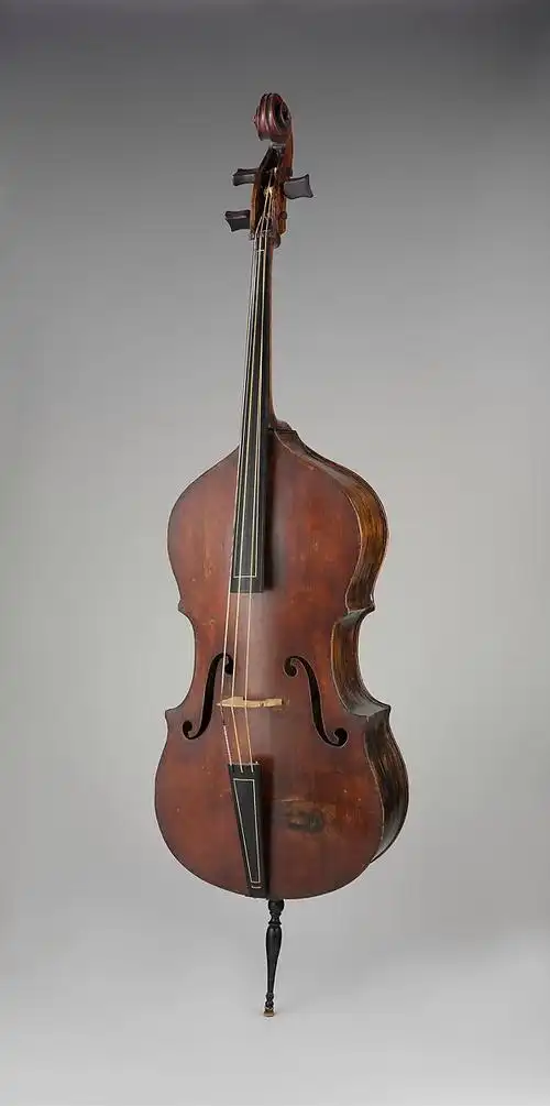 【北京乐器学会|乐器&文化】低音提琴(double bass)