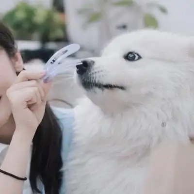 男朋友是狗系列情头(10张),情侣头像_刻爱头像网