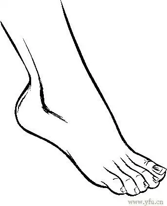 左右脚简笔画脚简笔画-在线图片欣赏文章内容  简笔画水晶高跟鞋图片