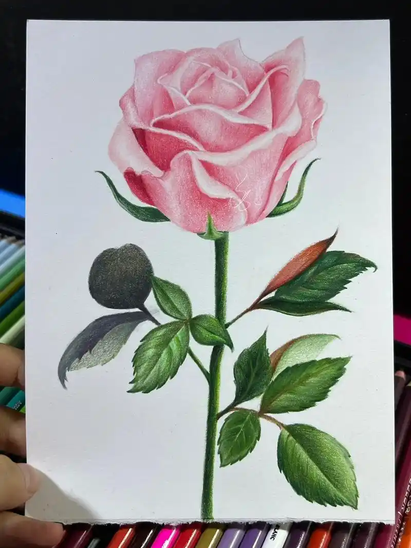 彩铅画画入门教程 #跟着抖音学画画 #一 - 抖音