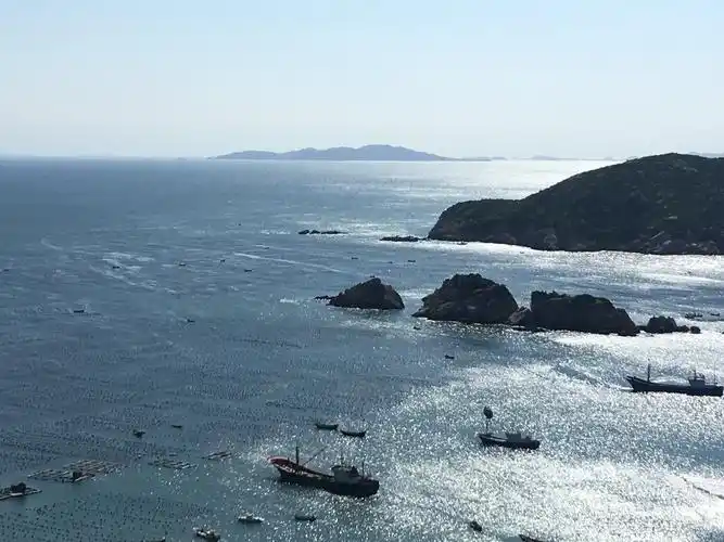 4月17-18:枸杞岛--蓝色海上牧场