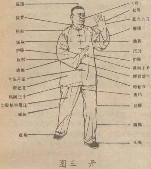 再谈太极拳内功心法