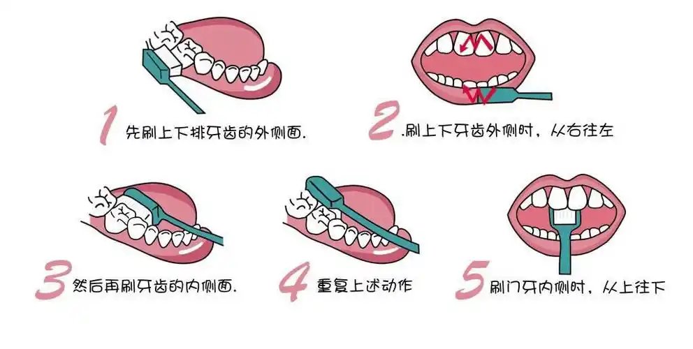 绘本阅读《小熊不刷牙》