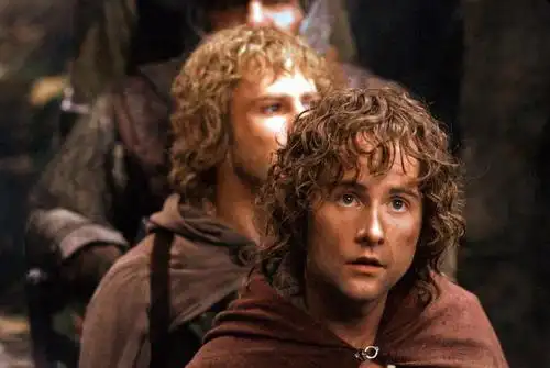 指环王1:魔戒再现