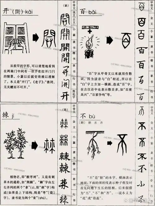 中国汉字的演变