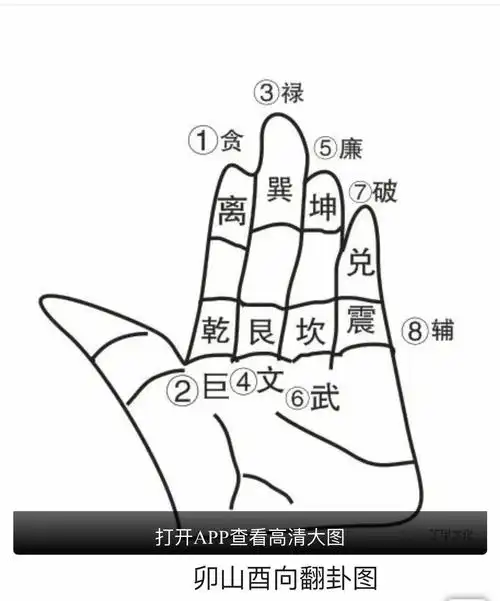 九星地母翻卦掌