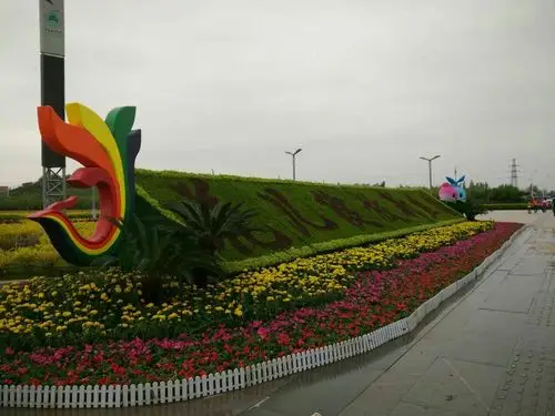 此次展摆我处除了围摆两块大型字板使用万寿菊,矮牵牛这两种常规草花