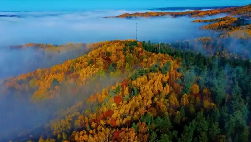 小兴安岭什么季节去_小兴安岭什么季节去最美