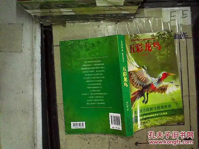 沈石溪动物小说·感悟生命书系:五彩龙鸟