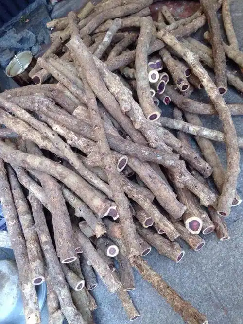 正宗天然越南紫檀柳黄金对眼鬼脸手串珠子佛珠拐杖雕刻老料原木料