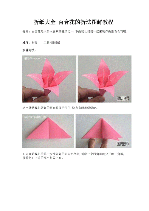 步骤图解百合花的折法大全图解-图片欣赏中心  手工折纸花大全图解二