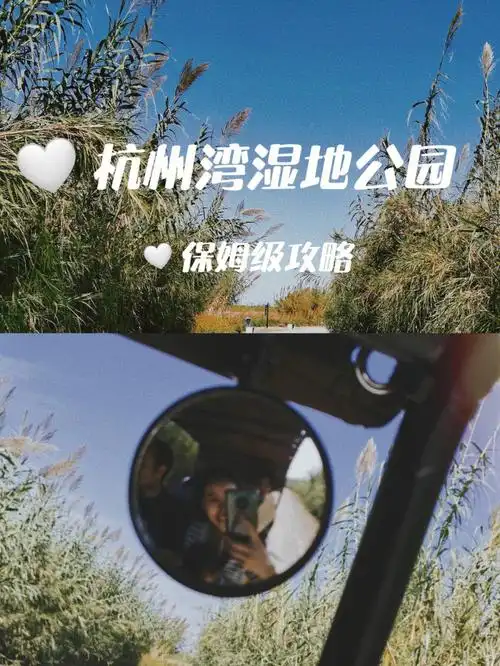 玩转宁波杭州湾湿地公园