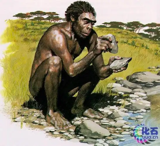 直立人的生活场景