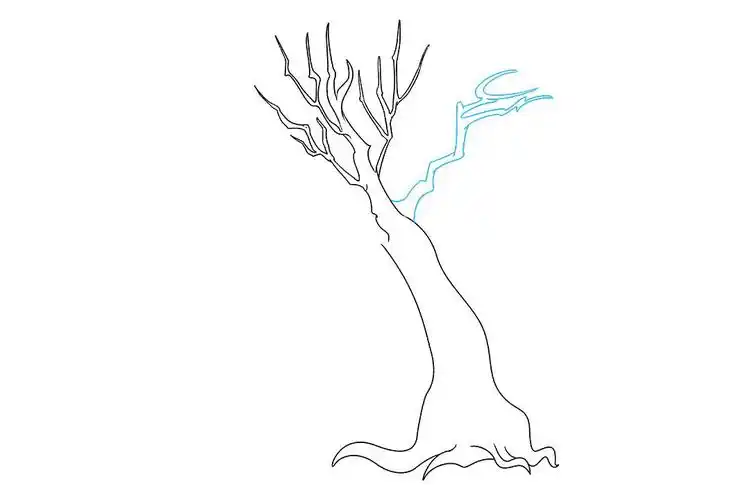 画枯树的简笔画教程