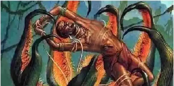 食人树生吞掉一个大活人的全过程,只因她做了这件事