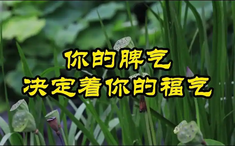 你的脾气决定着你的福气