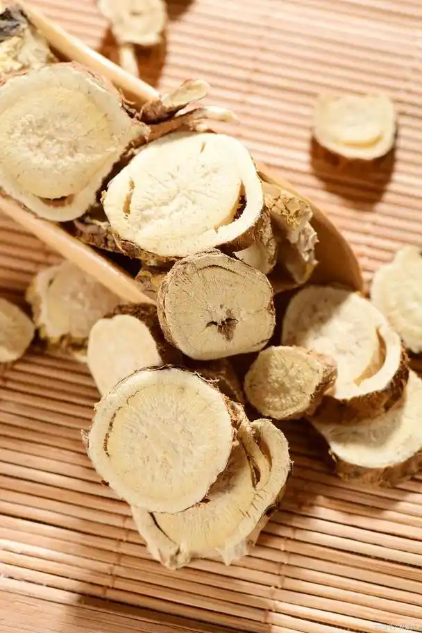 中药材苦参是一味清热药,为豆科植物苦参的燥根