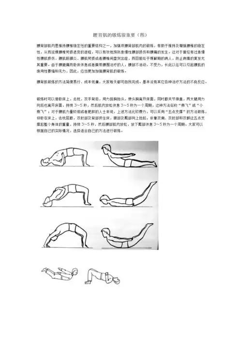 腰背肌的锻炼很重要图.doc