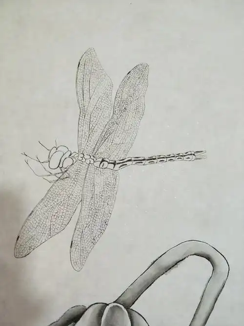 淡墨画出蜻蜓身体的花斑