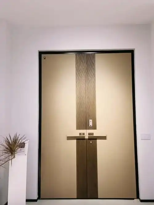 轻奢简约现代入户门