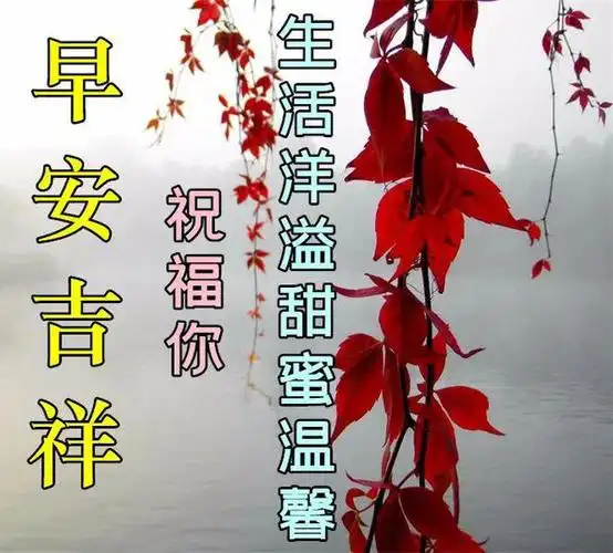 早上好动态表情图片大全早安动图美图大全