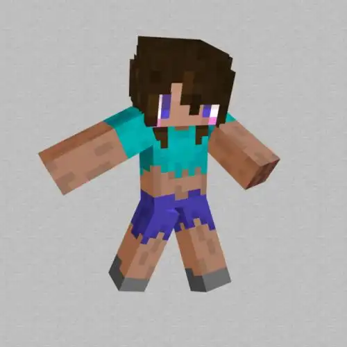 女版史蒂夫.妹子史蒂夫