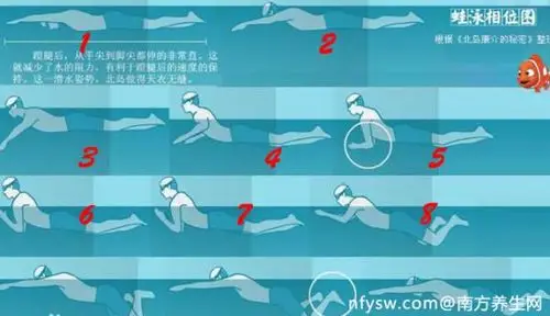 蛙泳什么时候吐气最好