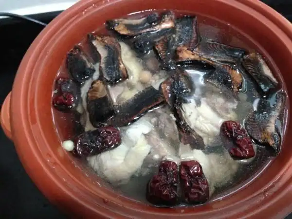 滋补养生灵芝炖鸡