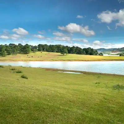 晴空万里蓝天白云唯美风景头像一望无际的草原太美了