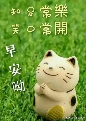 清晨早上好暖心问候祝福语句,鼠年最新早安问候语图片表情