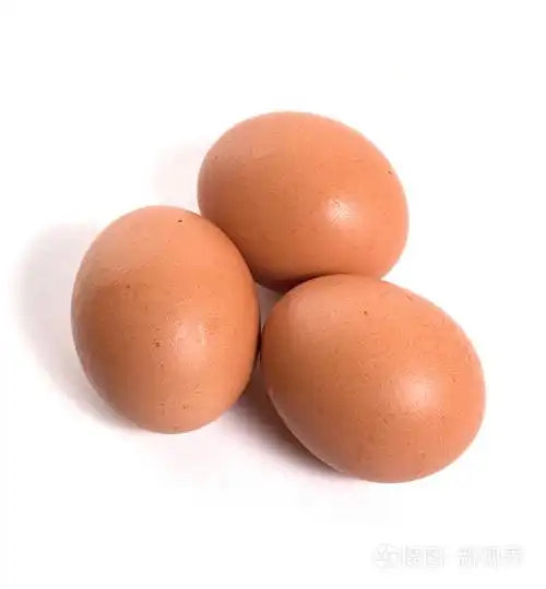 卵egg的名词复数蛋卵子卵