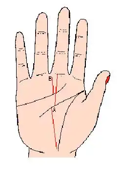 图解手相:事业线