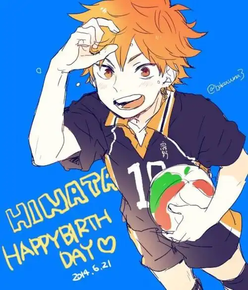 排球少年!日向翔阳