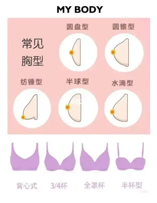 正确穿戴内衣要先看胸