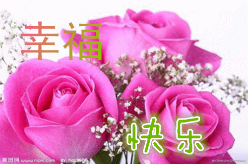 孙宝刚,孙佳 - 纪念馆 - 天津永安公墓_永安集团