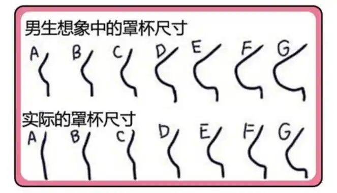 文胸的尺寸除了肩带的尺寸还有罩杯的尺寸,罩杯这个词是由法国人确定