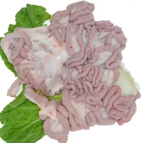 (肉类)猪粉肠 约500g(上午7点半后下单的肉不能在当天配送,肉菜价格按