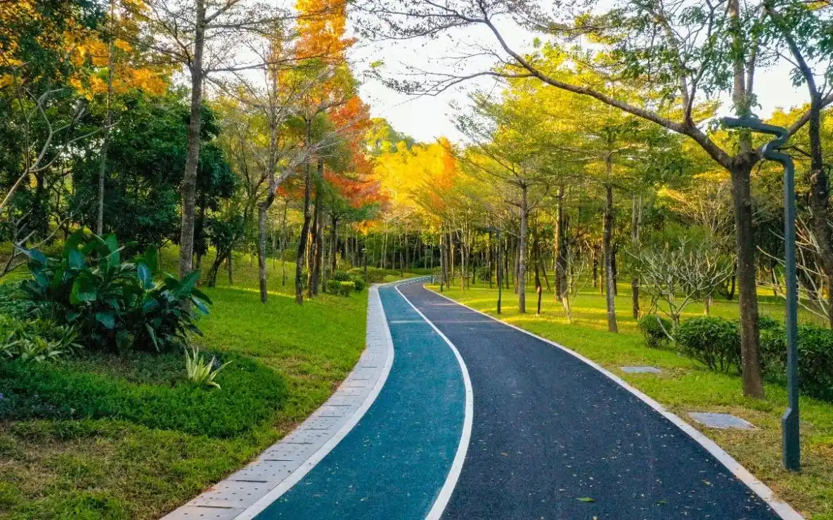 图集|假期走起!坪山聚龙山生态公园"焕新"