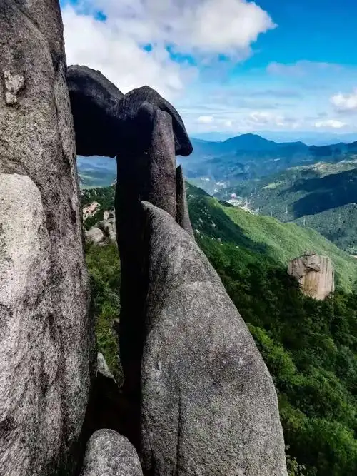 赴丽水市缙云县大洋山乘凉啦 20190805——0808