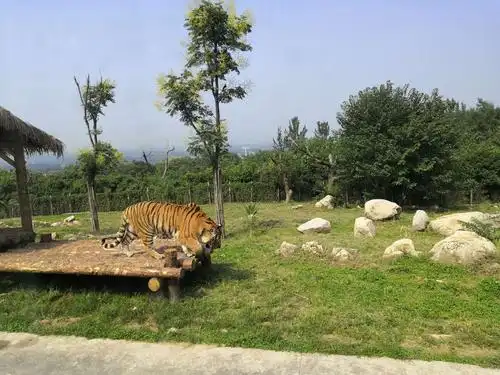 秦岭野生动物园