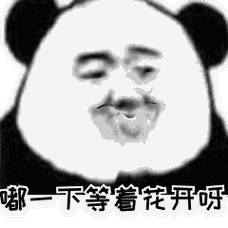 抖音你说嘴巴嘟嘟表情包 完整无水印版