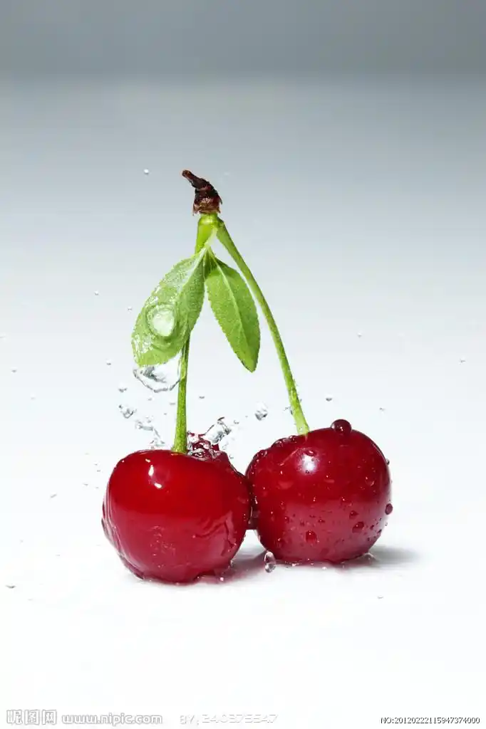 樱桃图片
