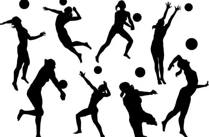 2019-2020学年第一学期排球社团总结 蒋燕