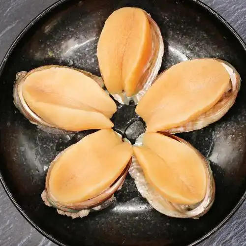 包邮直发百年渔港塞内加尔进口黄金鲍300g2袋8枚盒