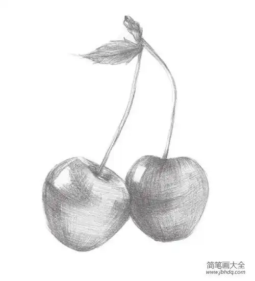 素描入门物体简笔画