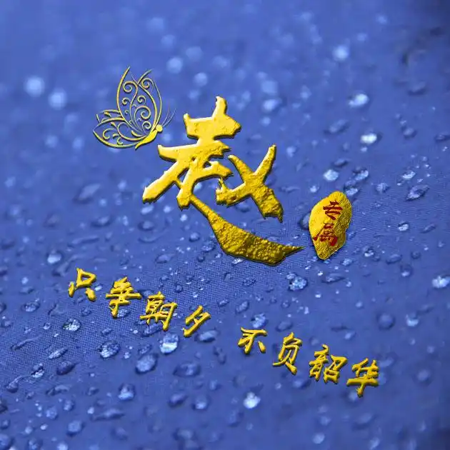 编号b02932张百家姓微信头像励志专属只争朝夕不负韶华