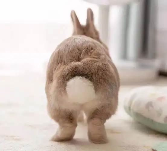 emmm……今夜将会有多少兔子的尾巴会被揪呢?