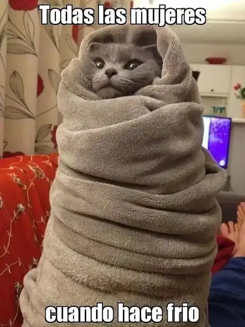 【地道西语】"冻成狗"西语怎么说?