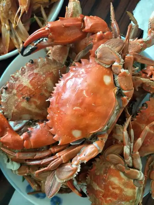 又肥又大的花盖螃蟹