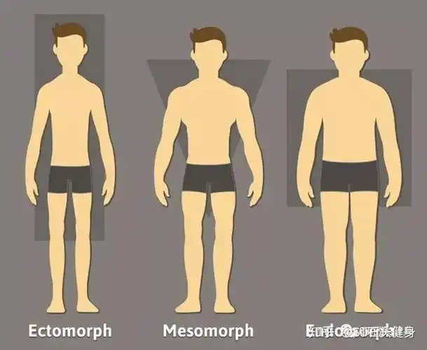 每个人都有不同的体型,有些人天生体型偏瘦,有些人偏胖.